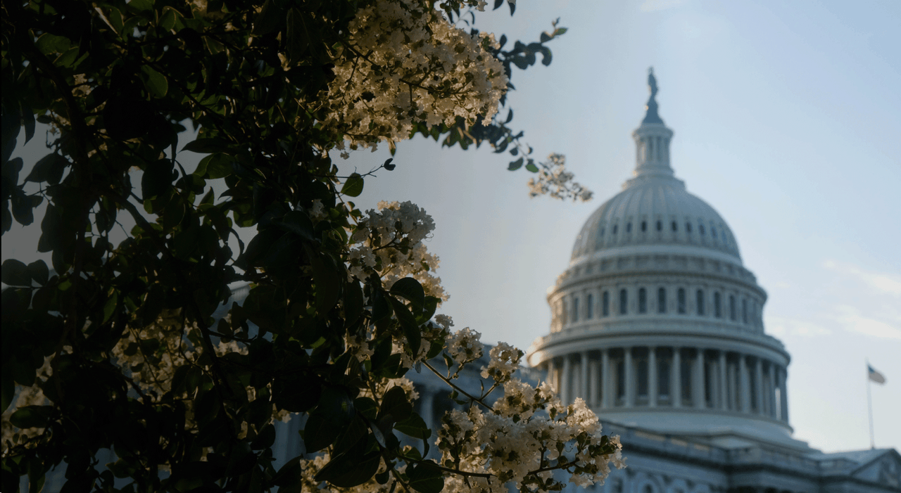 Effortless Transition for DC Congressional Offices